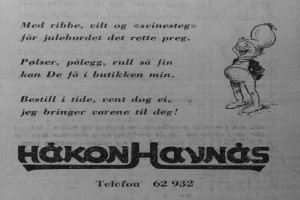 Bilde av Håkon Havnås